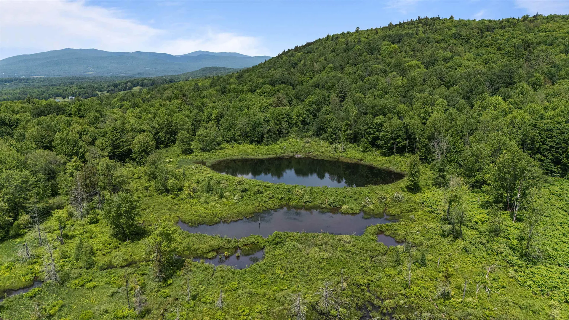 0 Davis Hill Road Hyde Park VT 05655