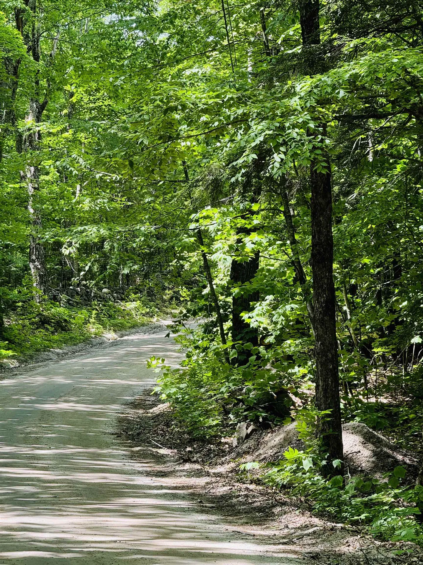 3/2 Farrell Hill Road Deering NH 03244