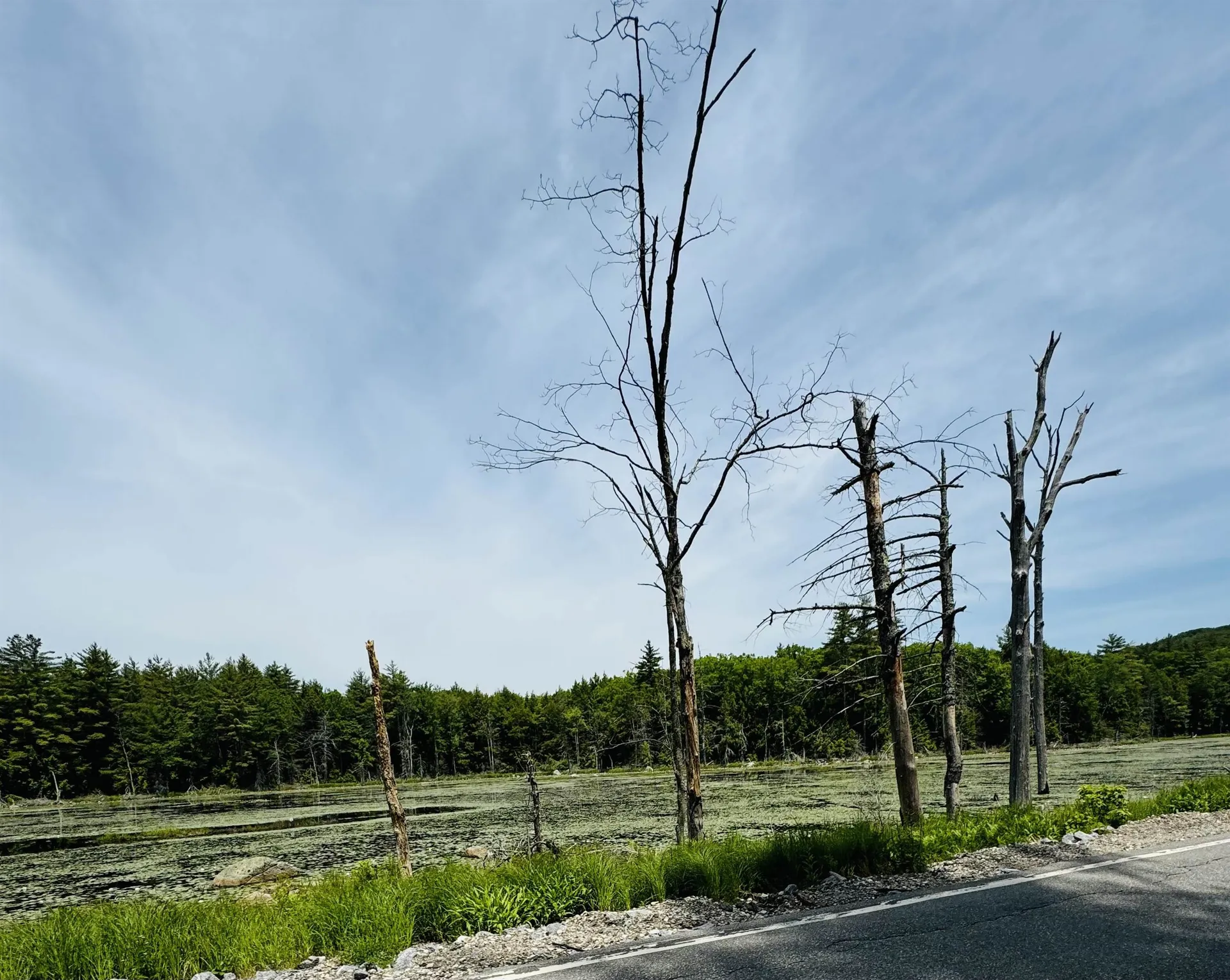 3/2 Farrell Hill Road Deering NH 03244