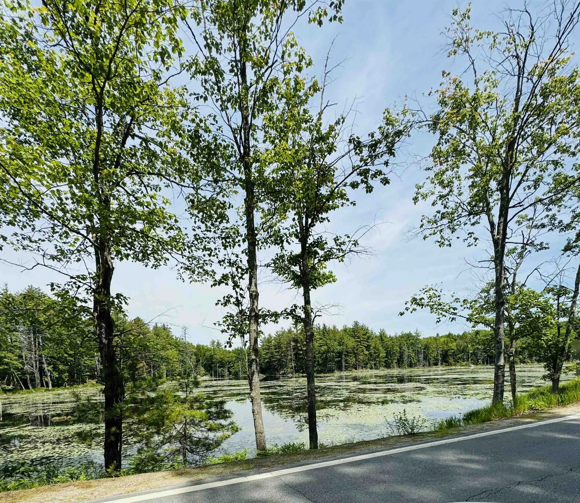 3/2 Farrell Hill Road Deering NH 03244