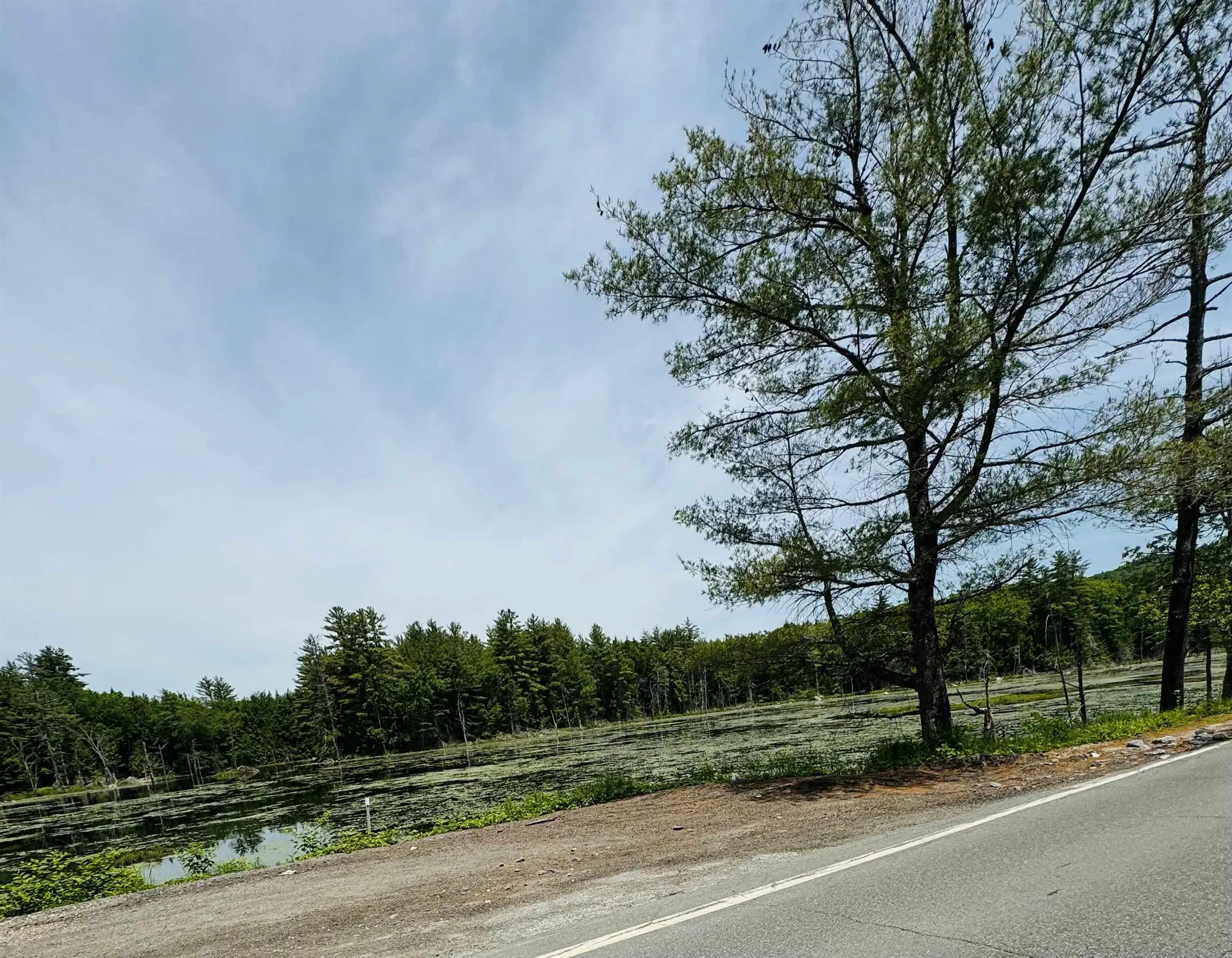 3/2 Farrell Hill Road Deering NH 03244