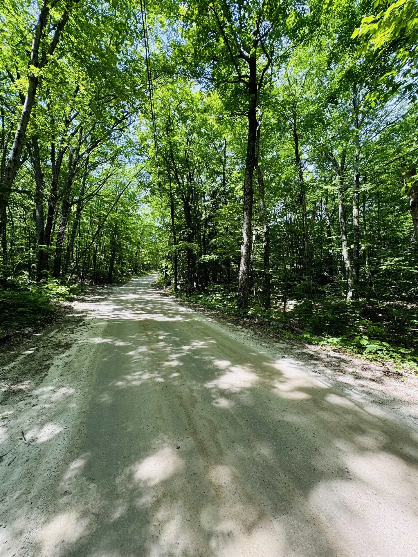 3/2 Farrell Hill Road Deering NH 03244