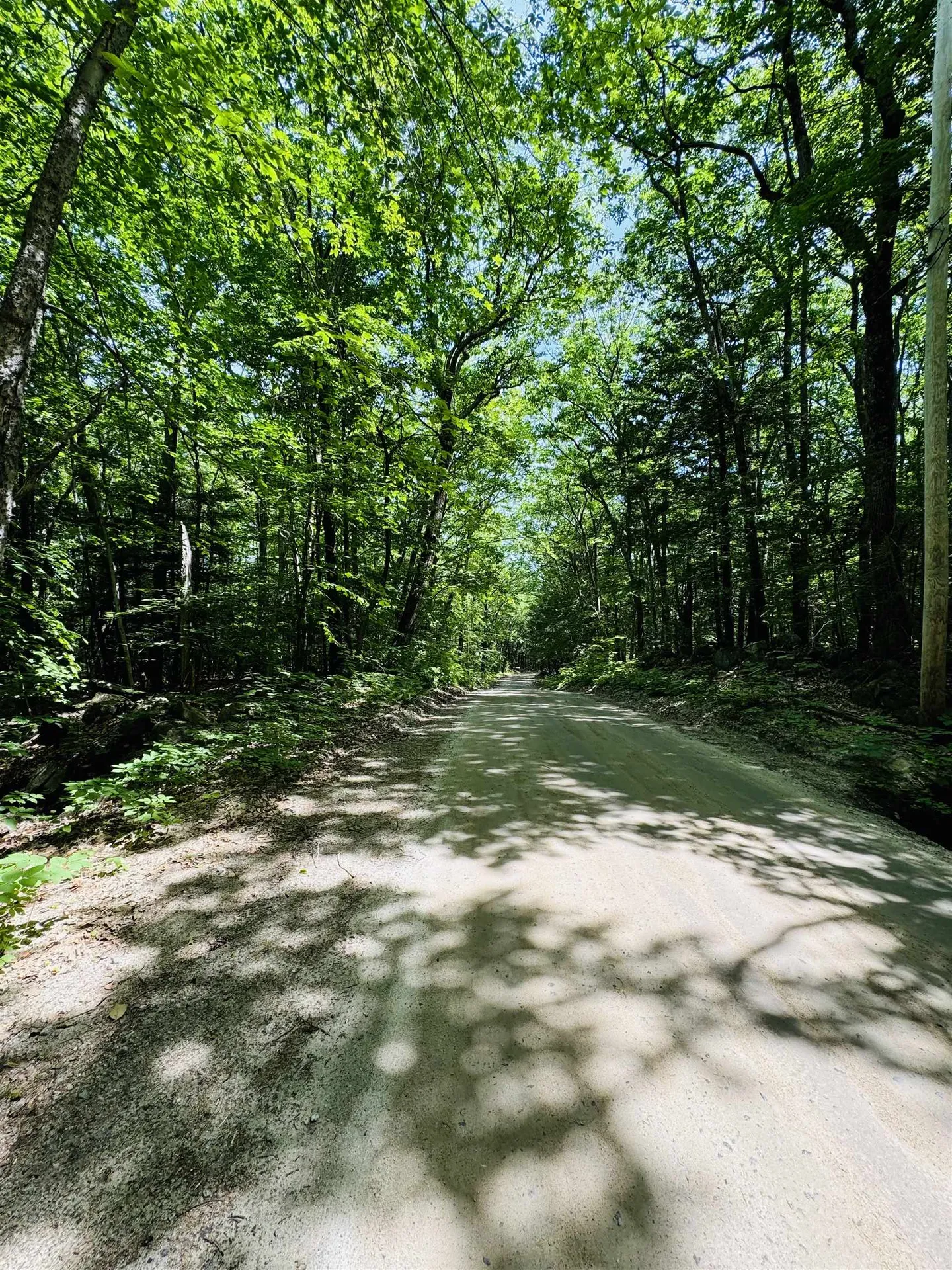 3/2 Farrell Hill Road Deering NH 03244