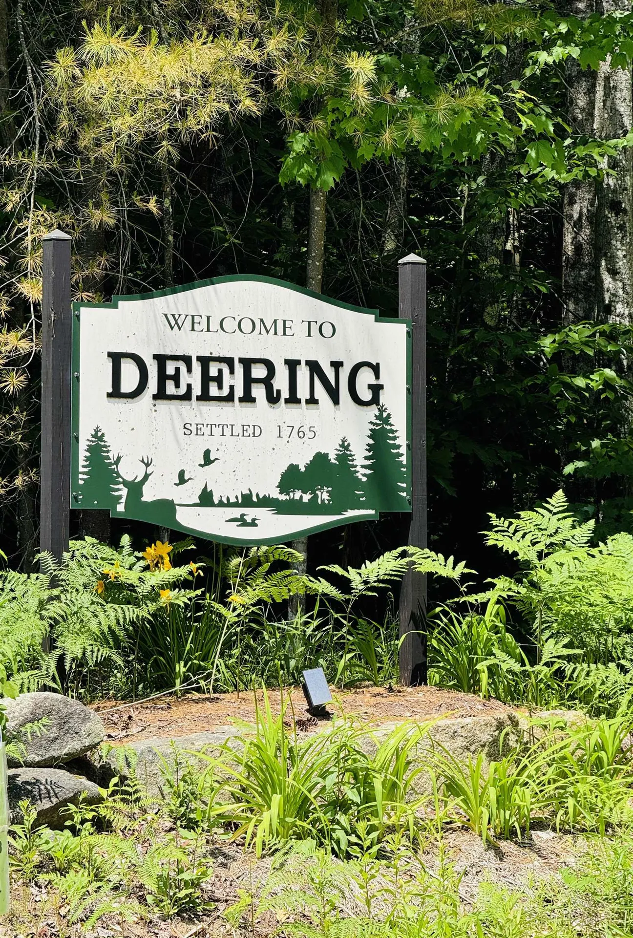 3/2 Farrell Hill Road Deering NH 03244