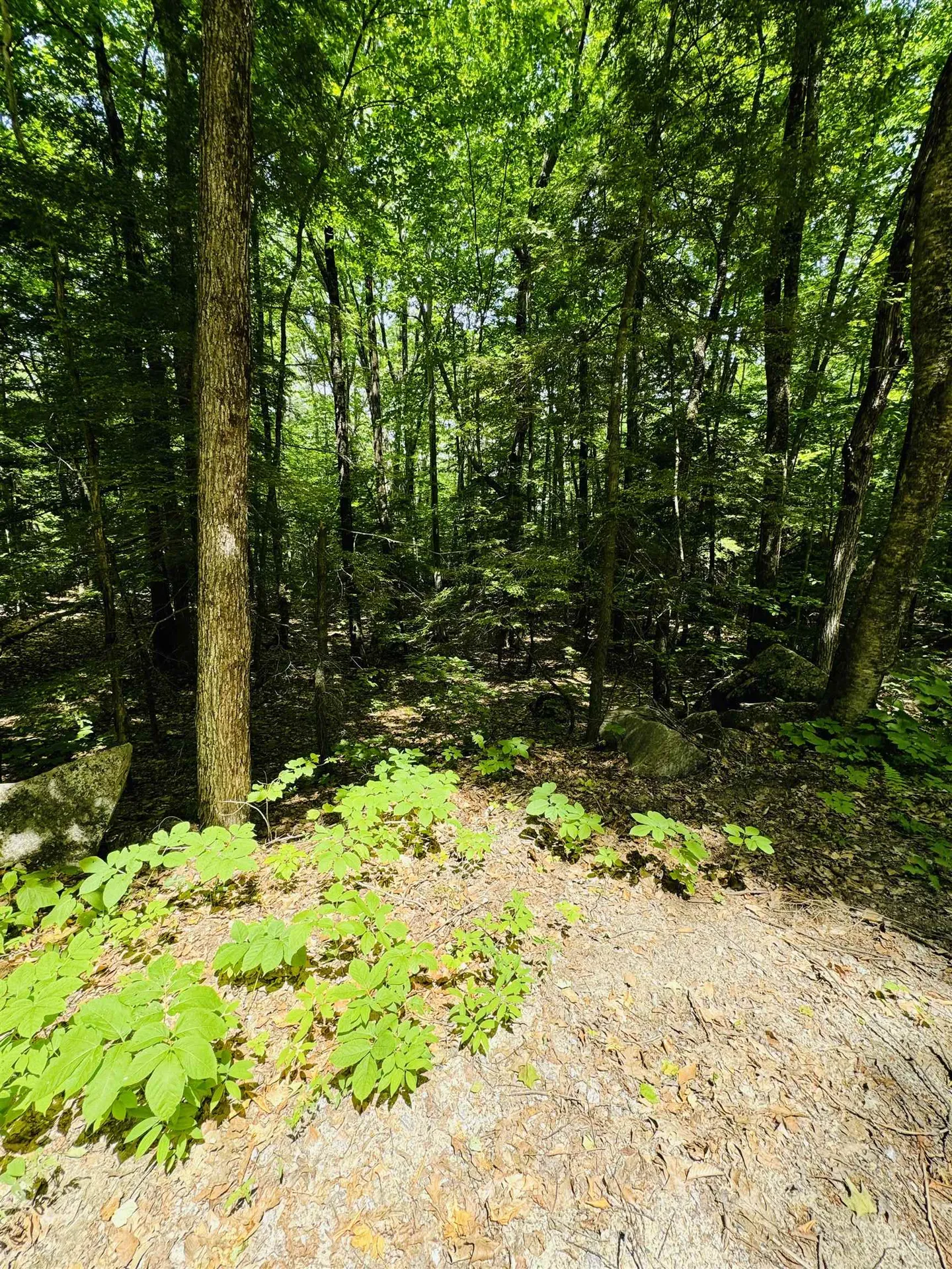 3/2 Farrell Hill Road Deering NH 03244