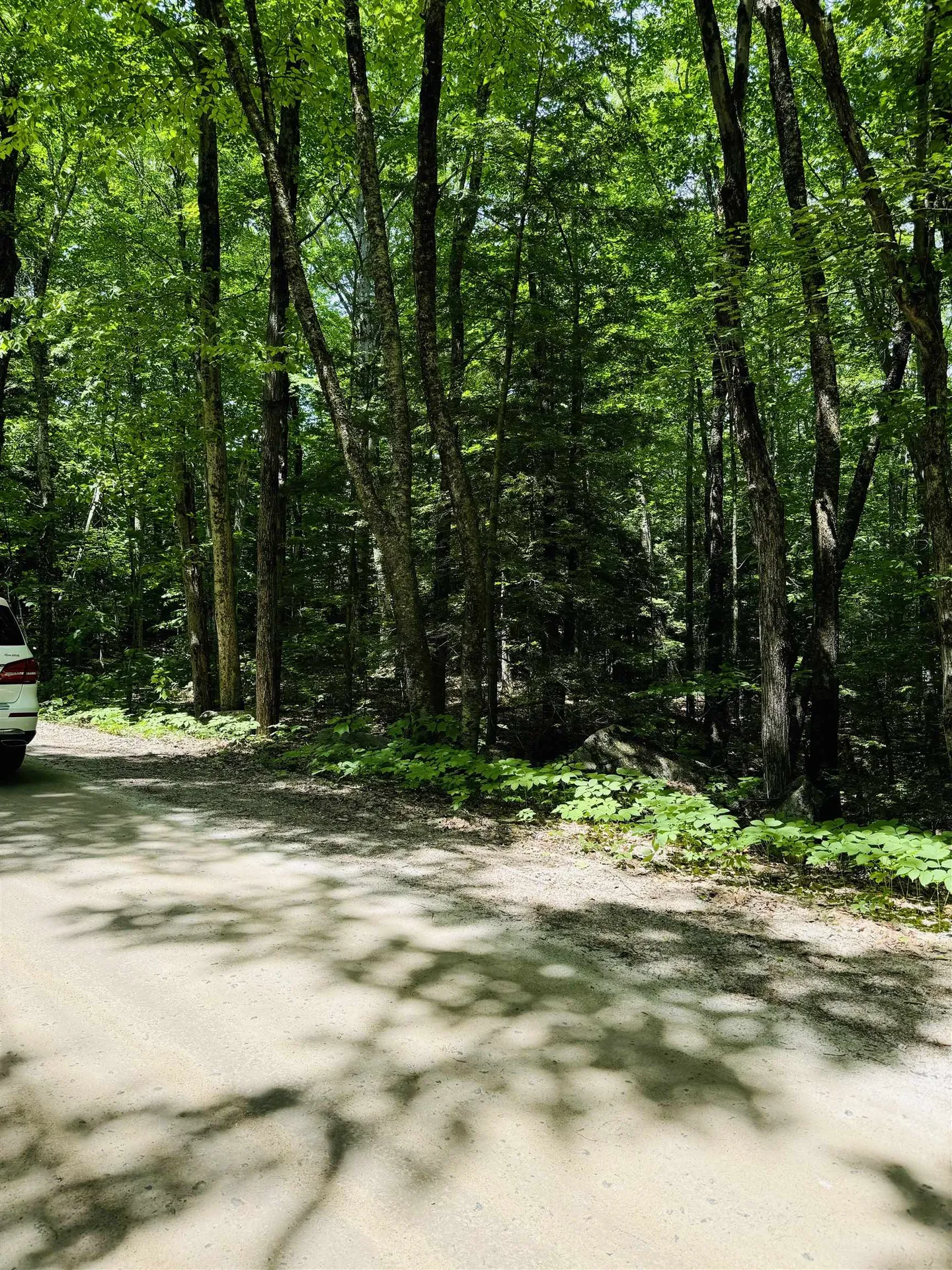 3/2 Farrell Hill Road Deering NH 03244