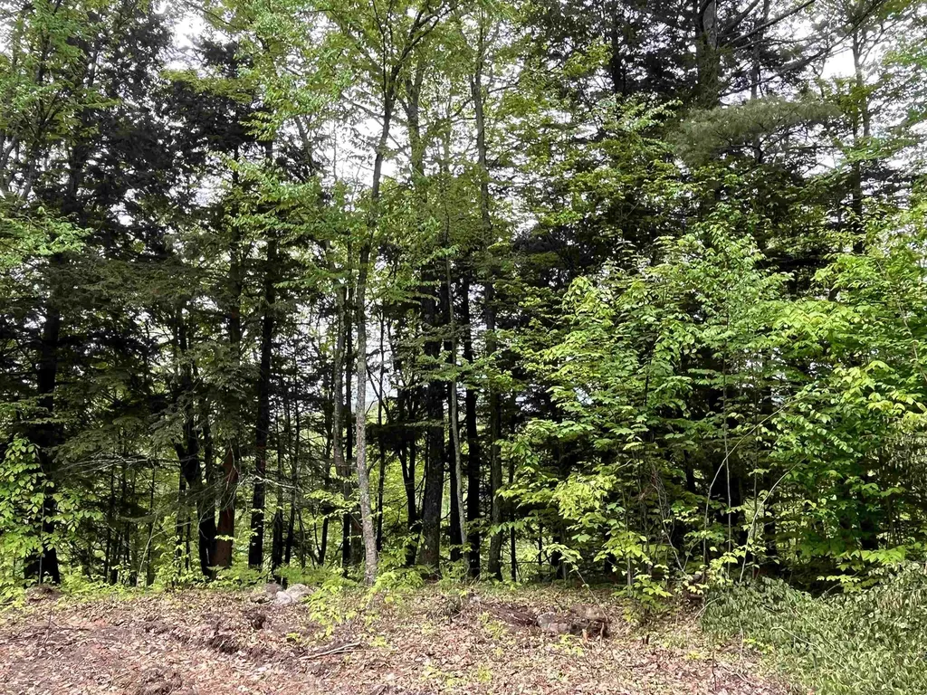 0 Remington Road Chester VT 05143