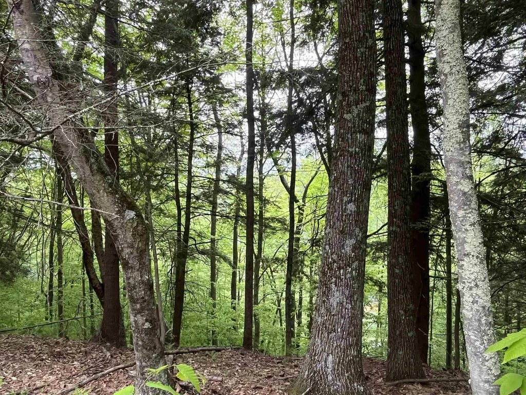 0 Remington Road Chester VT 05143