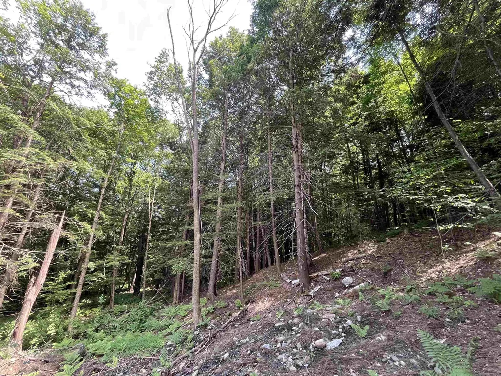 0 Remington Road Chester VT 05143