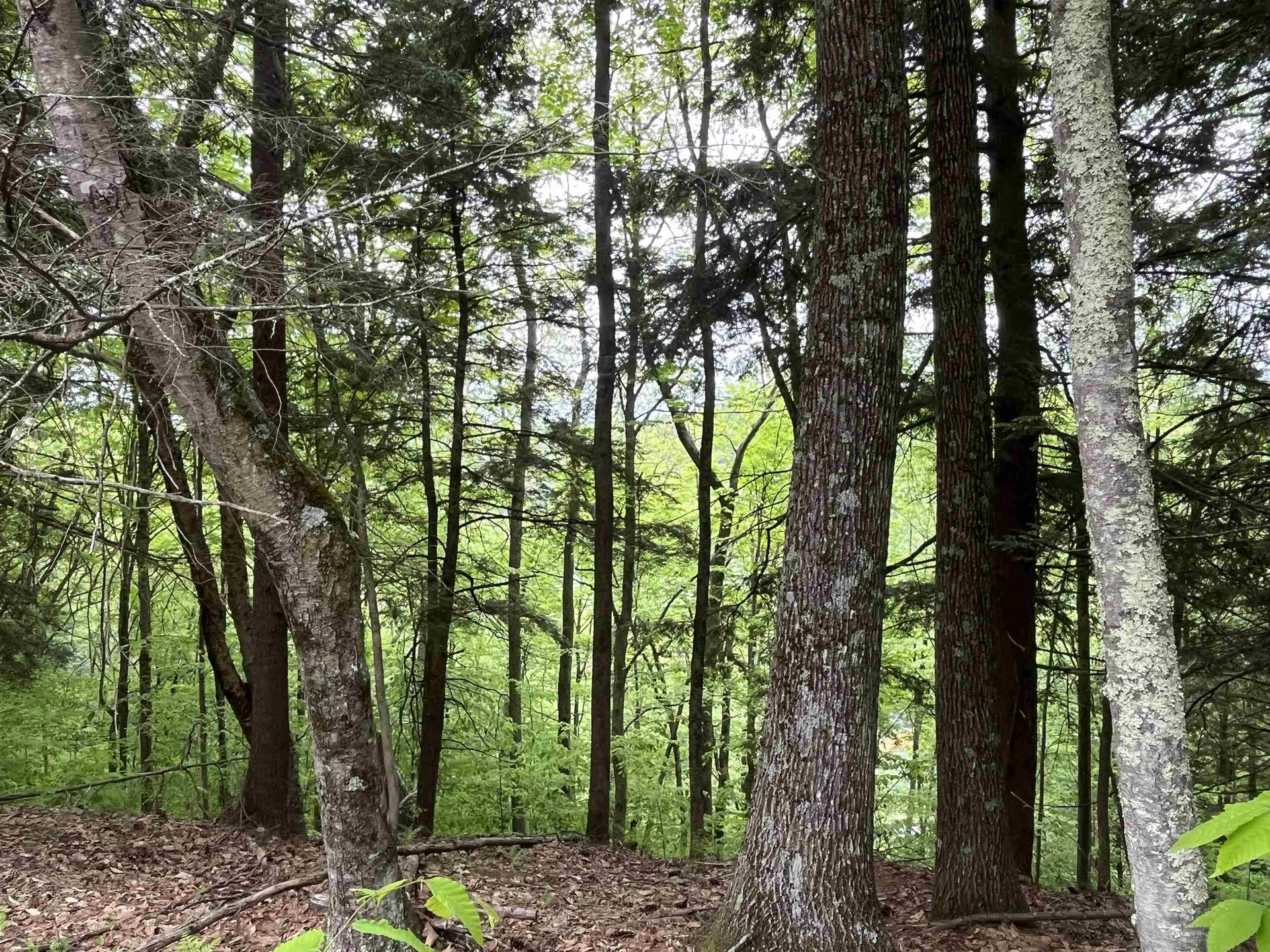 0 Remington Road Chester VT 05143