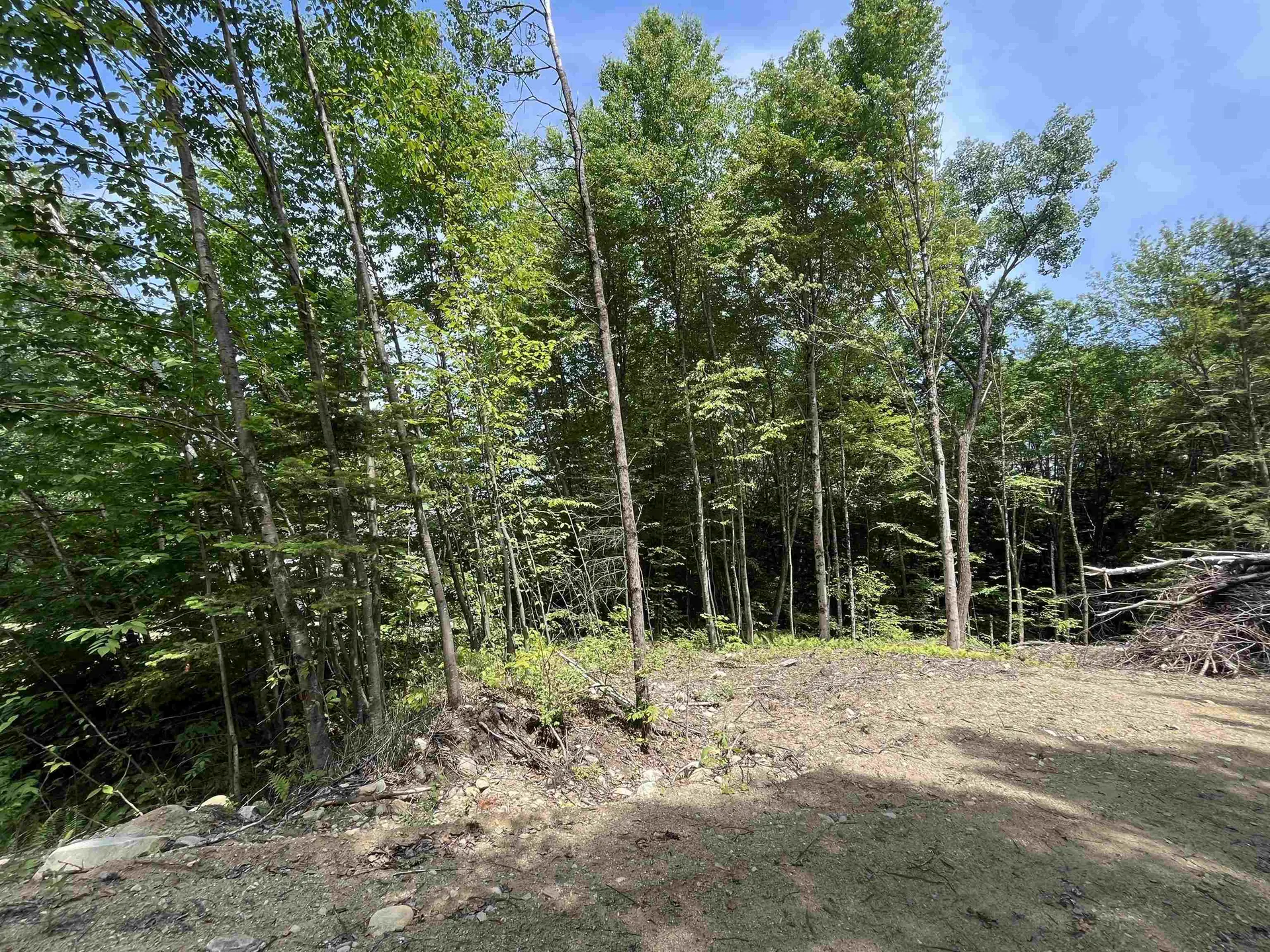 0 Remington Road Chester VT 05143