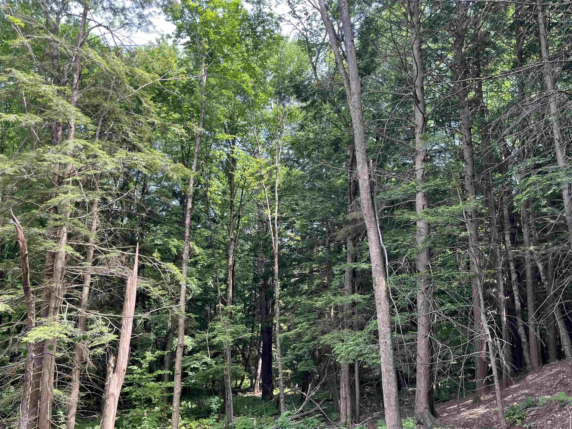 0 Remington Road Chester VT 05143