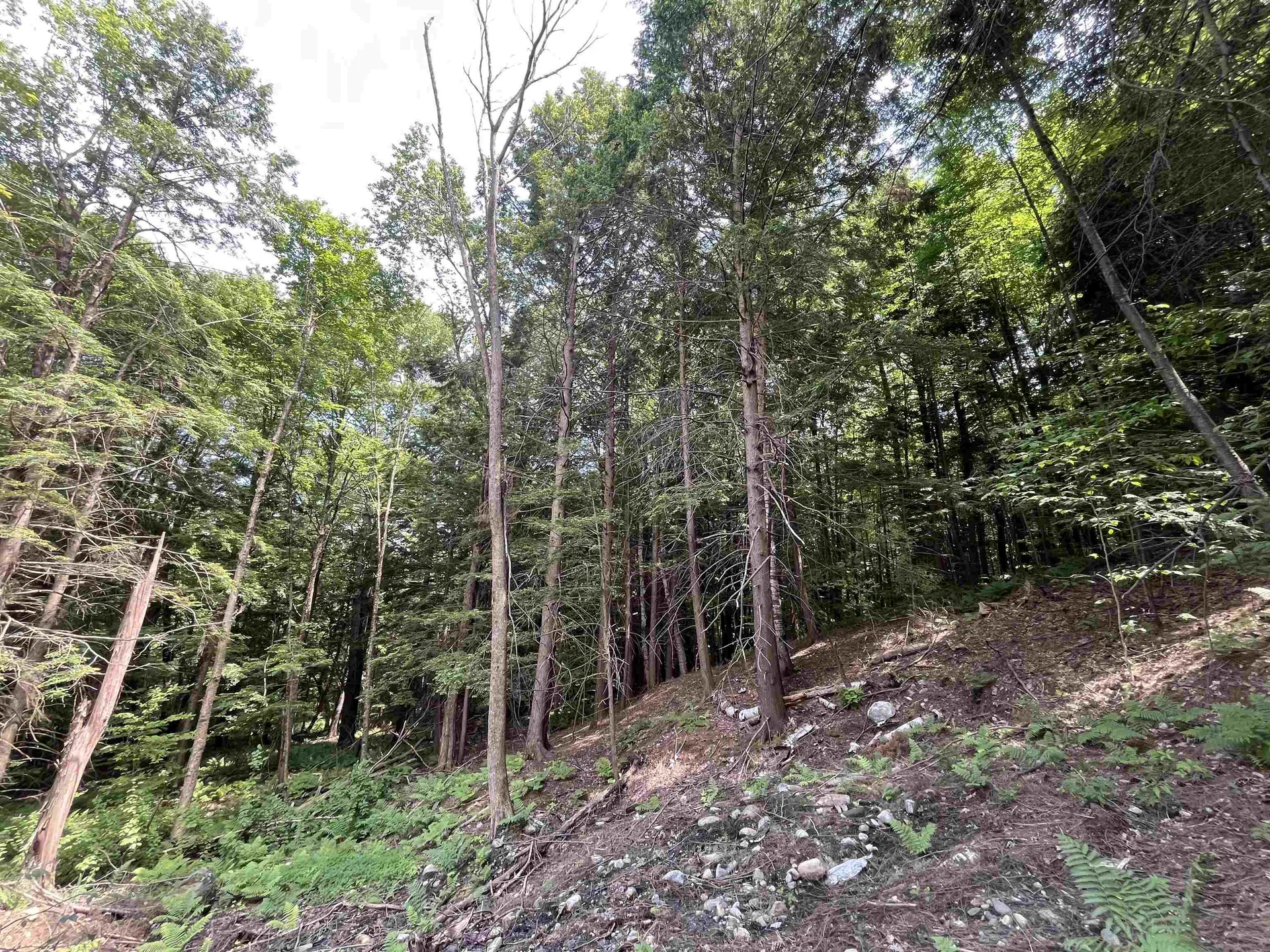 0 Remington Road Chester VT 05143