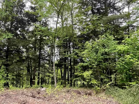 0 Remington Road Chester VT 05143