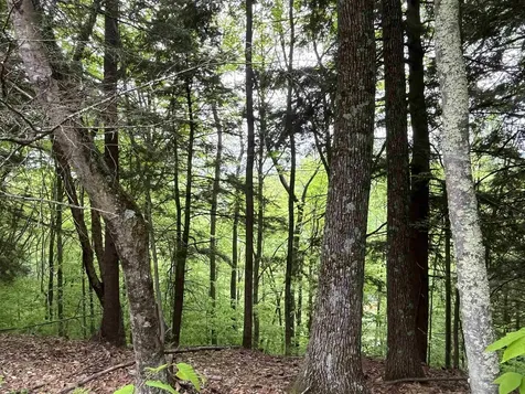 0 Remington Road Chester VT 05143