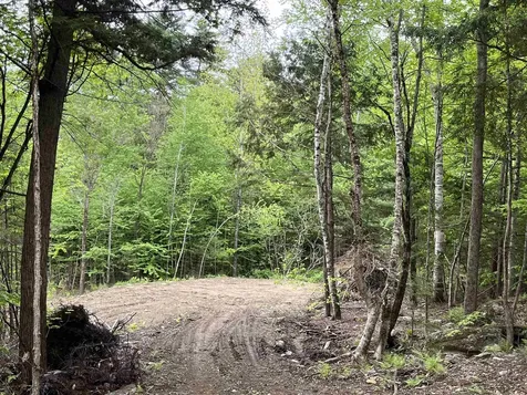 0 Remington Road Chester VT 05143