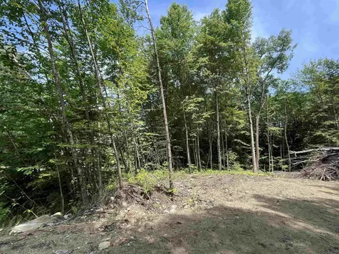 0 Remington Road Chester VT 05143