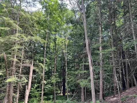 0 Remington Road Chester VT 05143