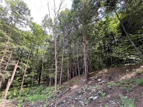 0 Remington Road Chester VT 05143