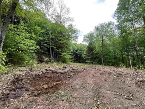 0 Remington Road Chester VT 05143