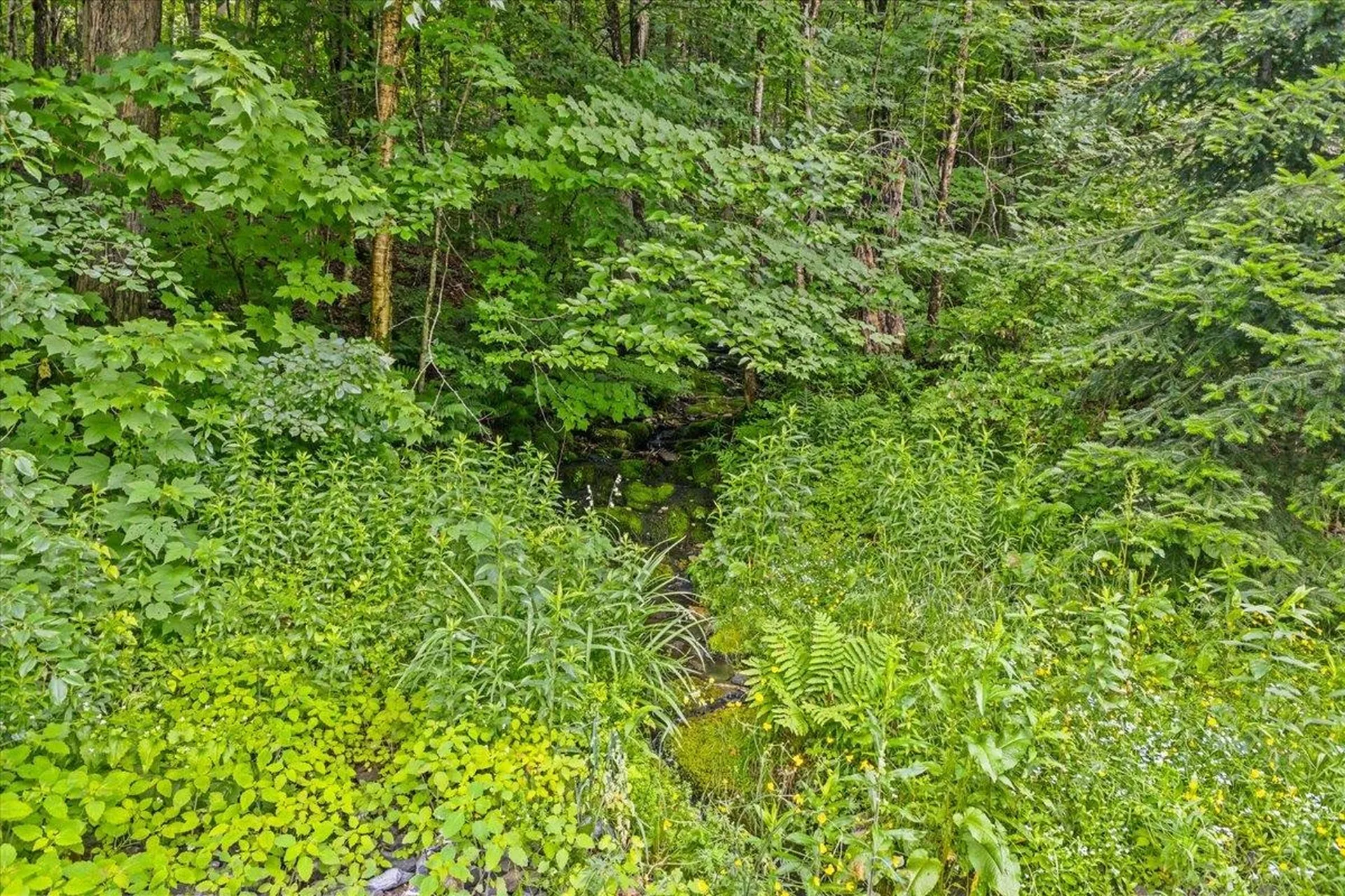 1282 Route 12 S Northfield VT 05663
