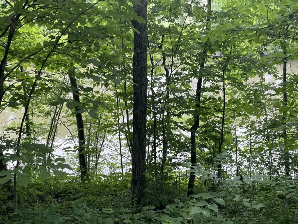 644 Panton Road Panton VT 05491