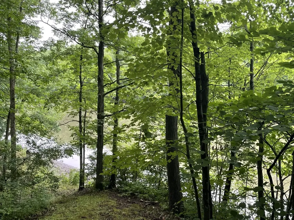 644 Panton Road Panton VT 05491