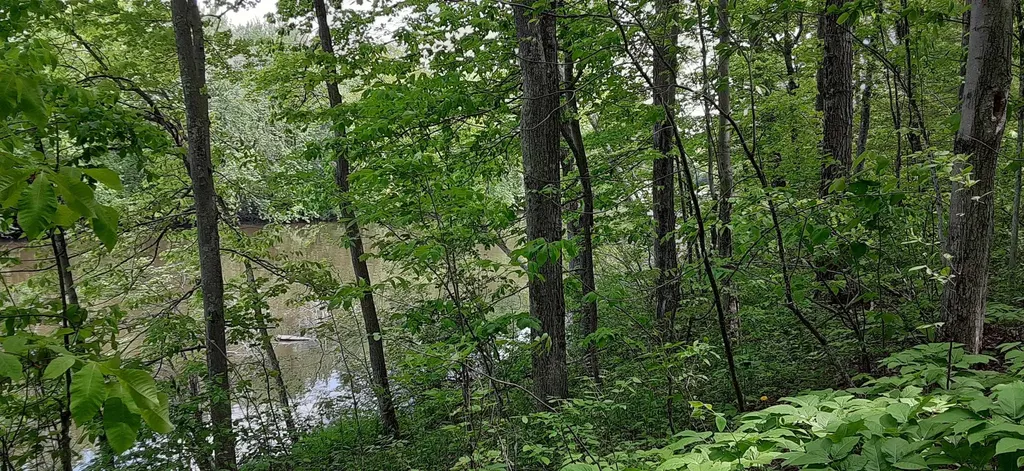 644 Panton Road Panton VT 05491