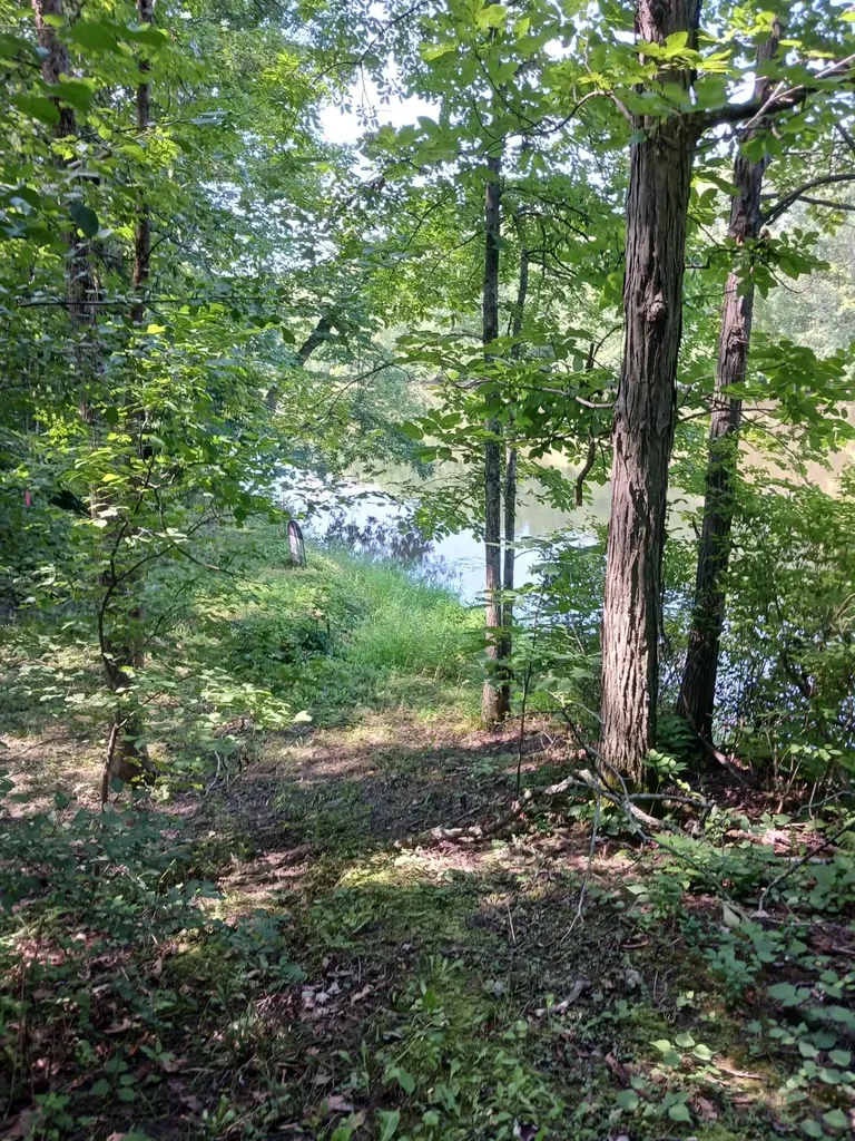 644 Panton Road Panton VT 05491