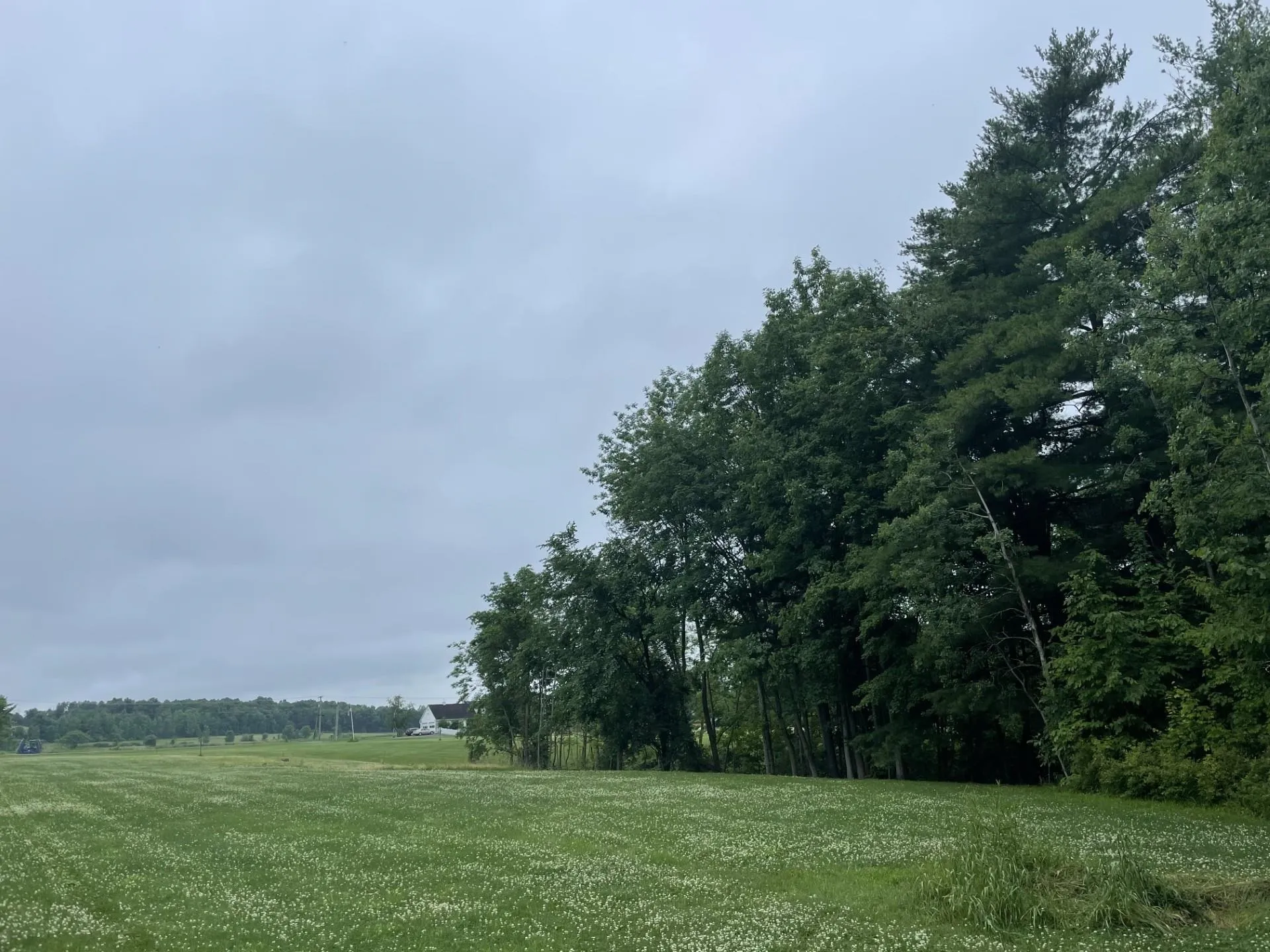 644 Panton Road Panton VT 05491