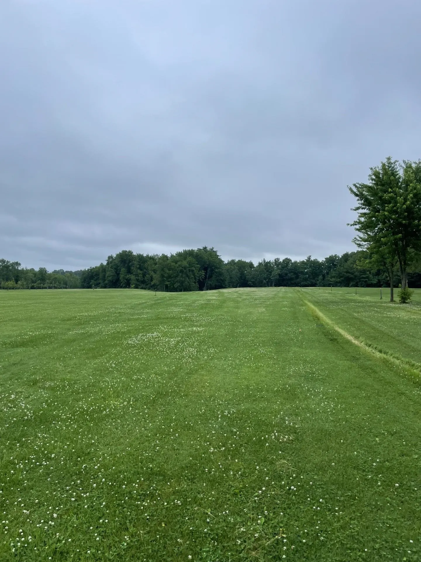 644 Panton Road Panton VT 05491