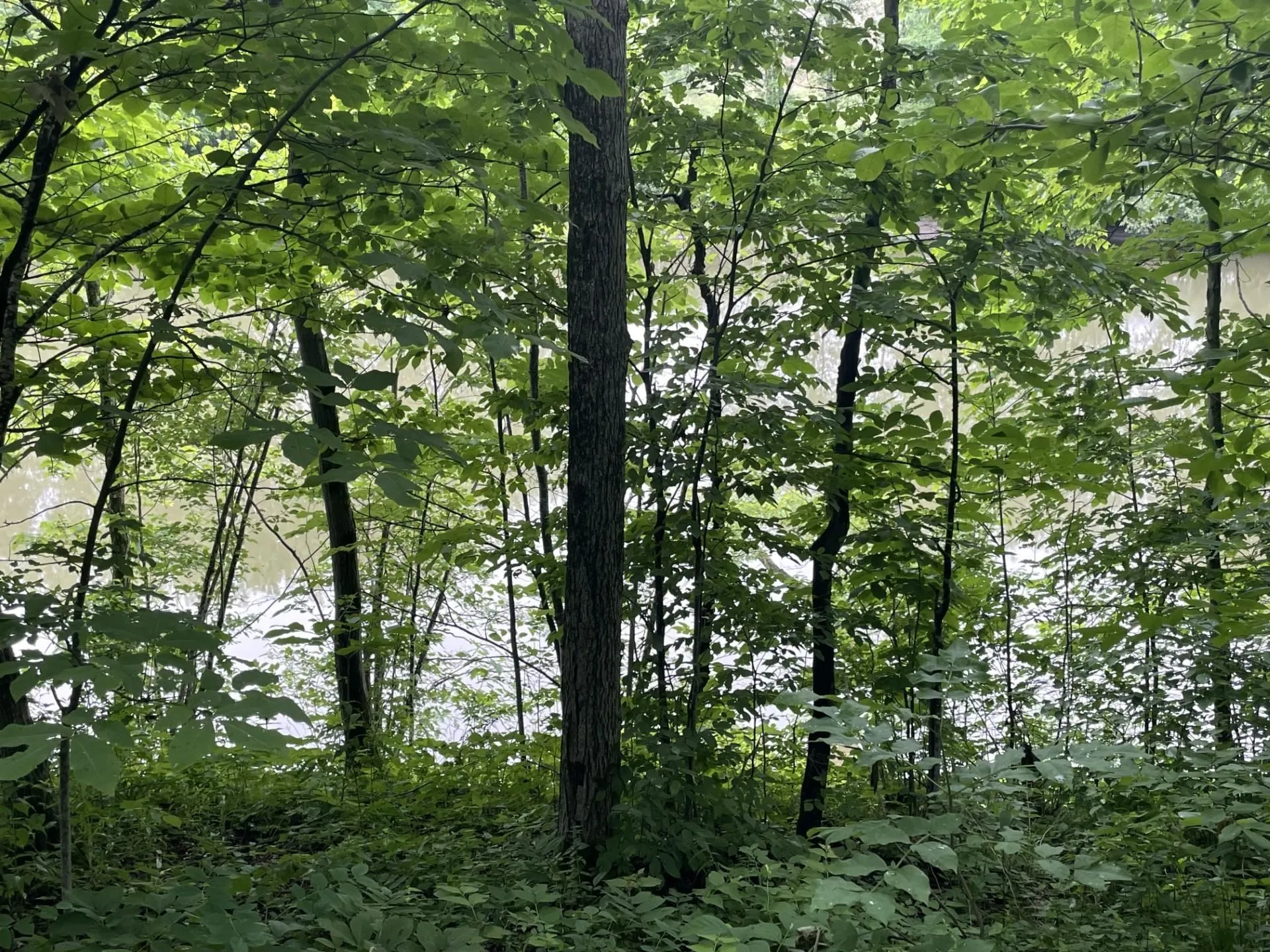 644 Panton Road Panton VT 05491