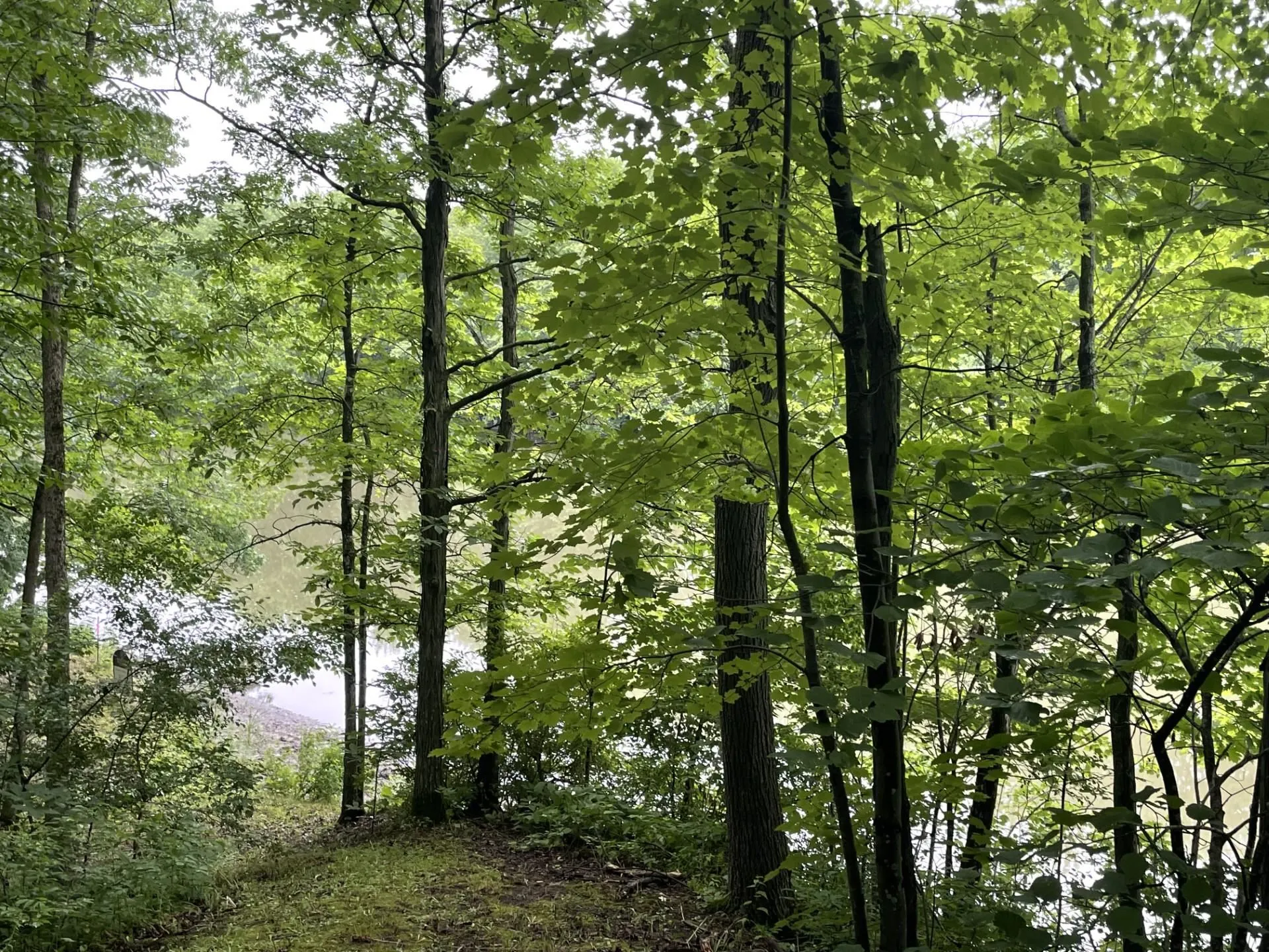 644 Panton Road Panton VT 05491