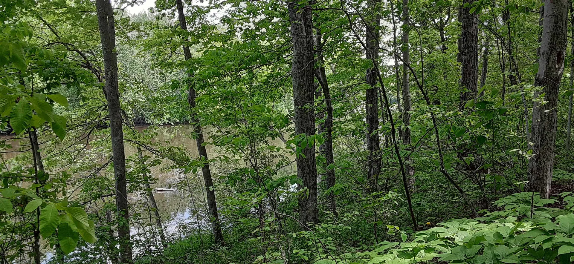 644 Panton Road Panton VT 05491