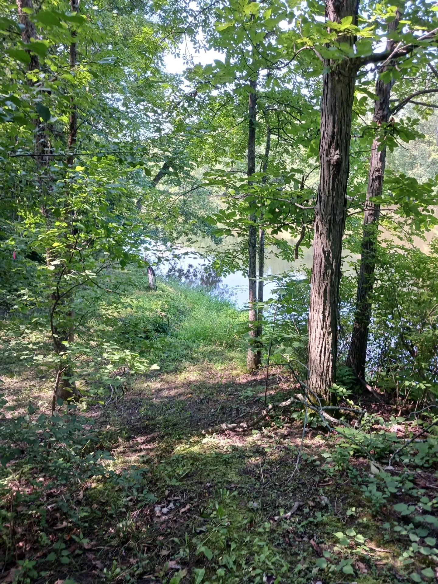 644 Panton Road Panton VT 05491