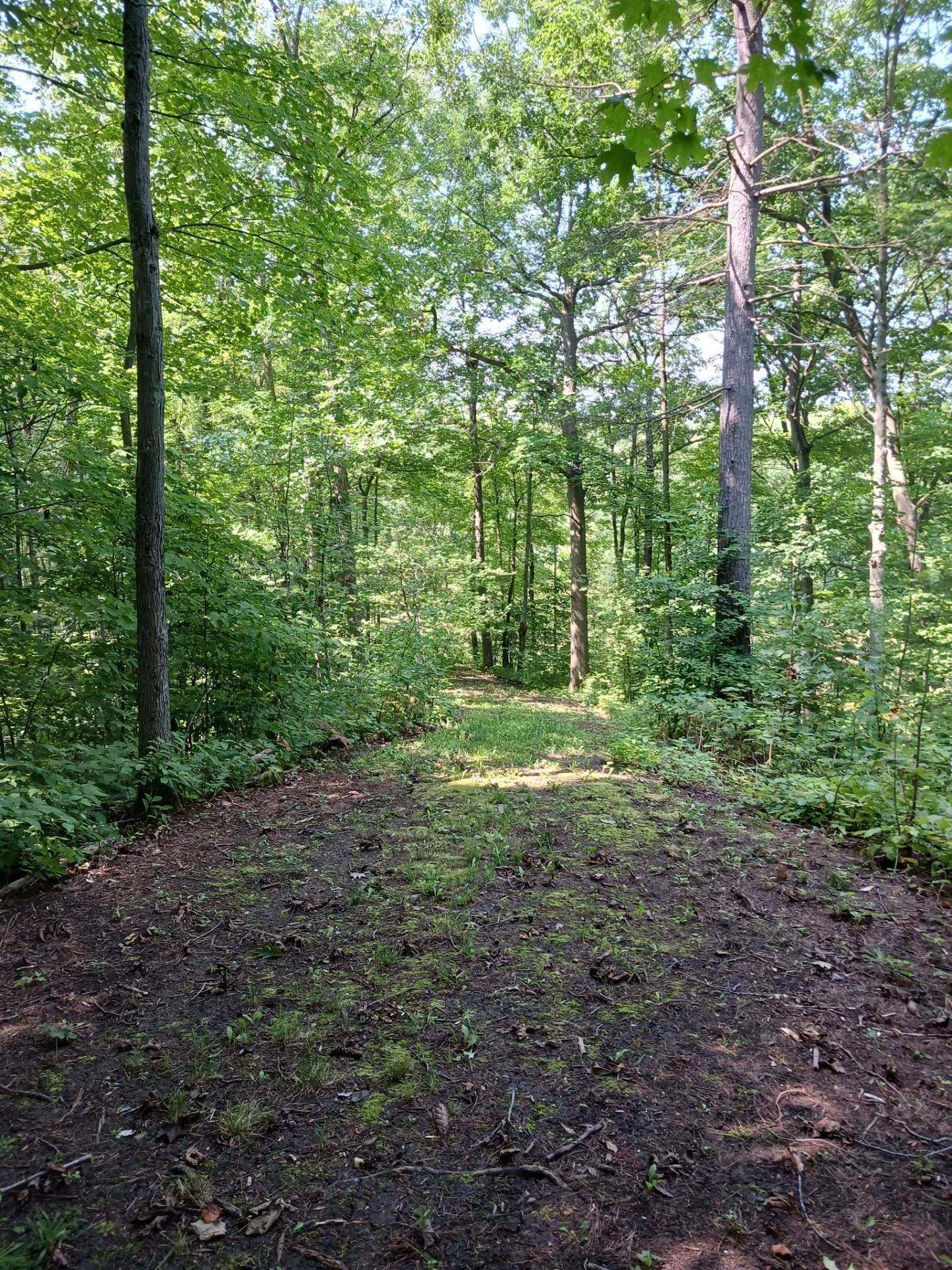 644 Panton Road Panton VT 05491