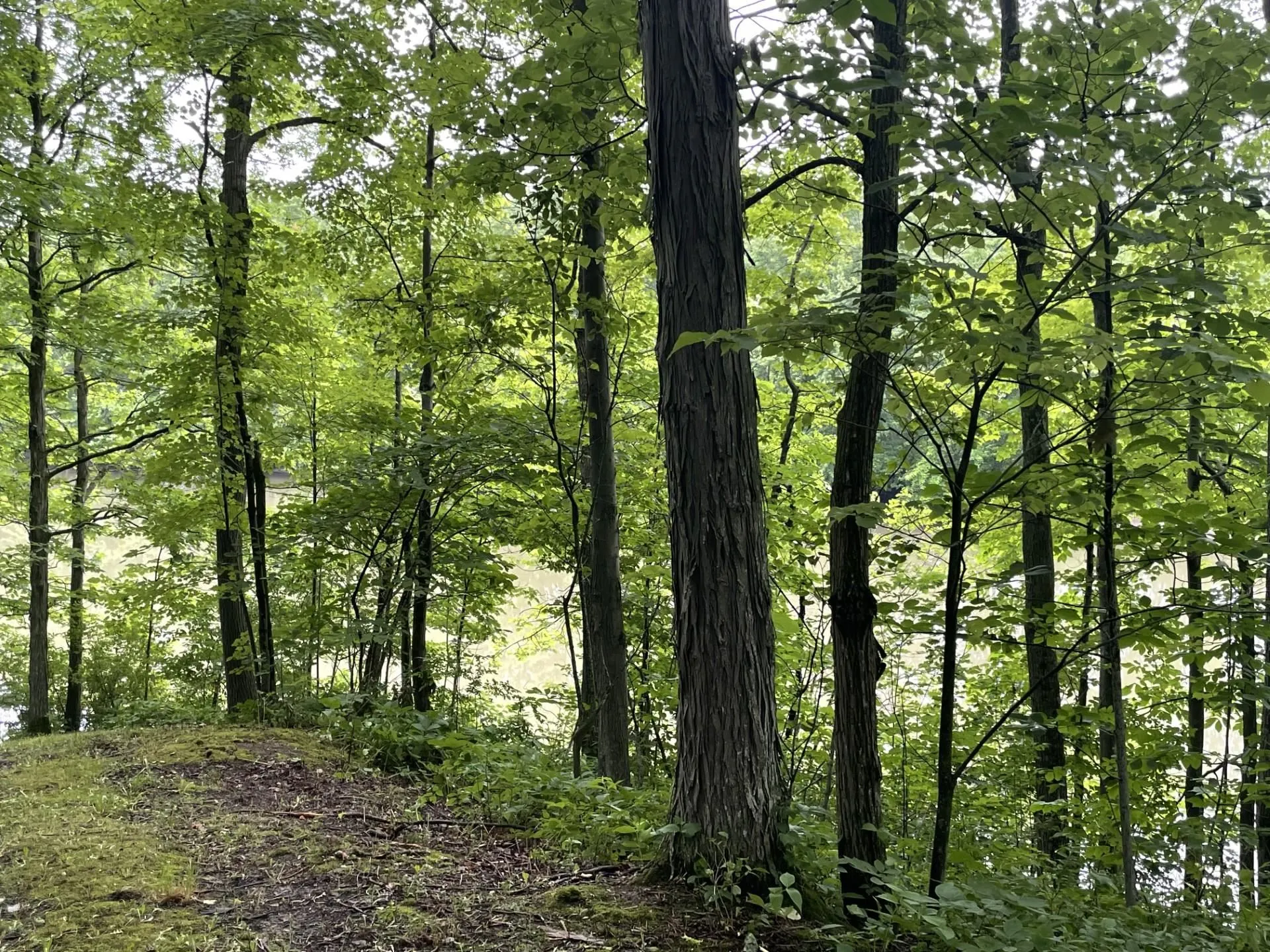 644 Panton Road Panton VT 05491