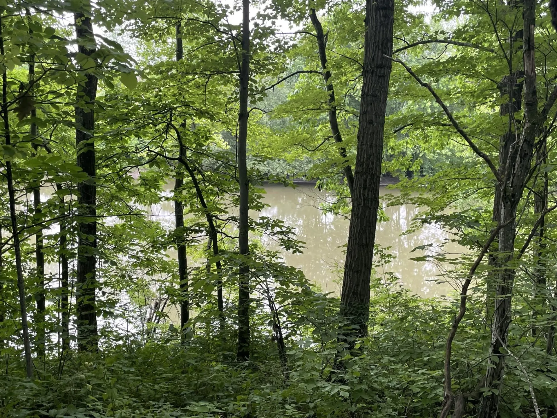 644 Panton Road Panton VT 05491