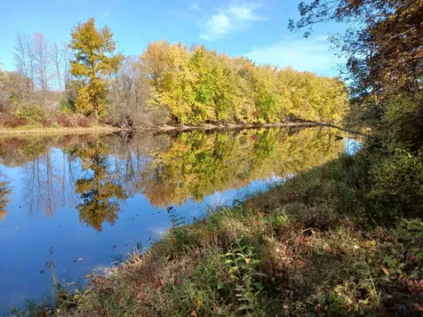 644 Panton Road Panton VT 05491