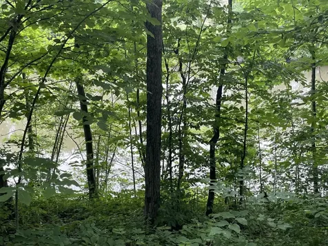 644 Panton Road Panton VT 05491