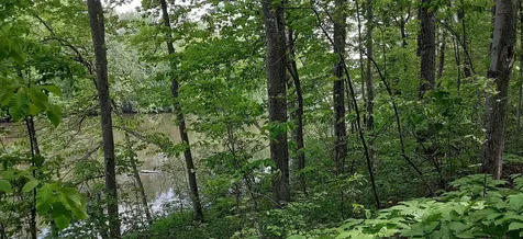 644 Panton Road Panton VT 05491
