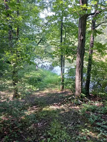644 Panton Road Panton VT 05491