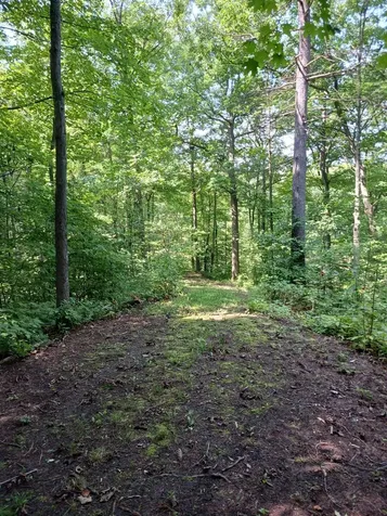 644 Panton Road Panton VT 05491