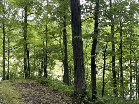 644 Panton Road Panton VT 05491