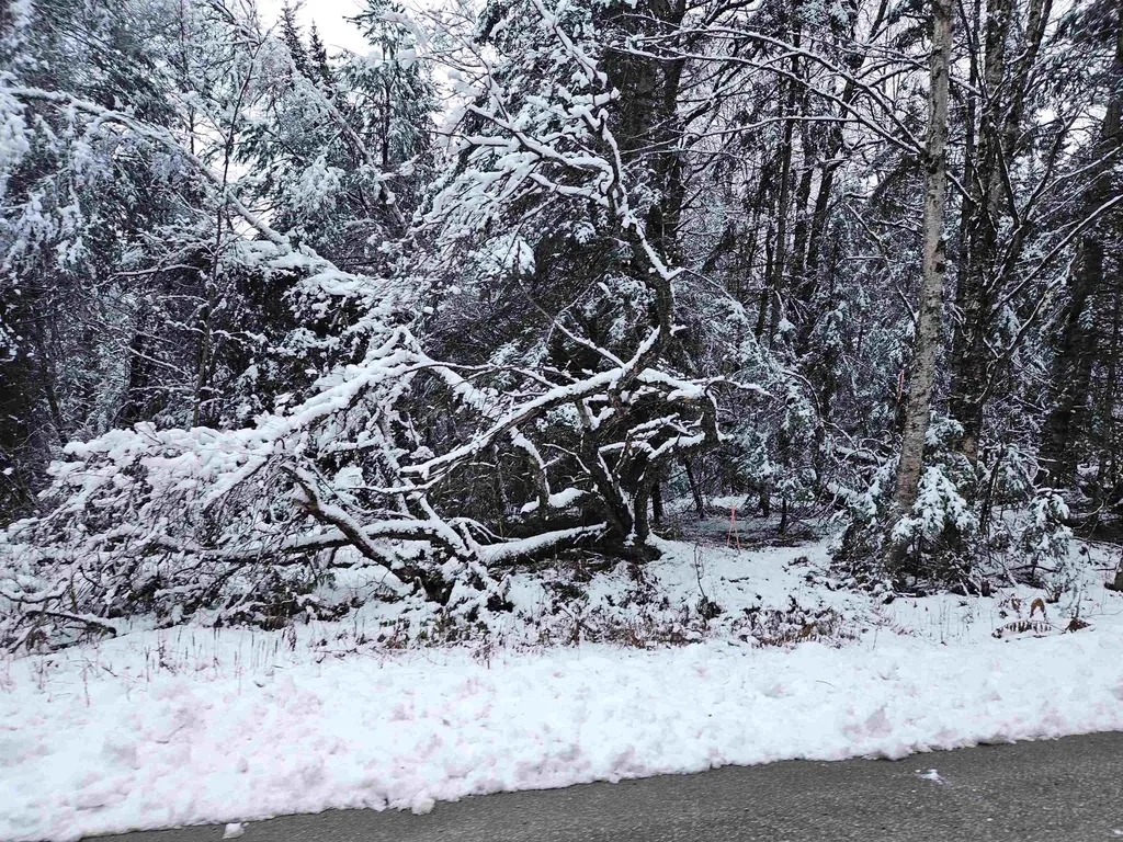 Lot 15 Hadley Road Sugar Hill NH 03586