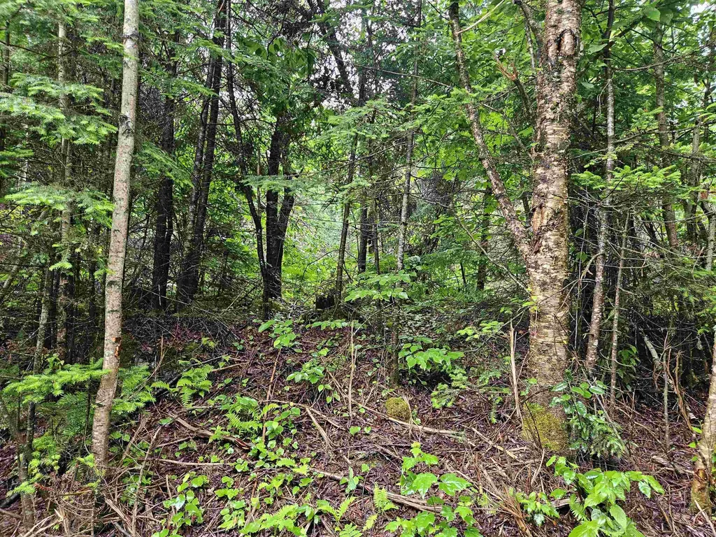 Lot 15 Hadley Road Sugar Hill NH 03586