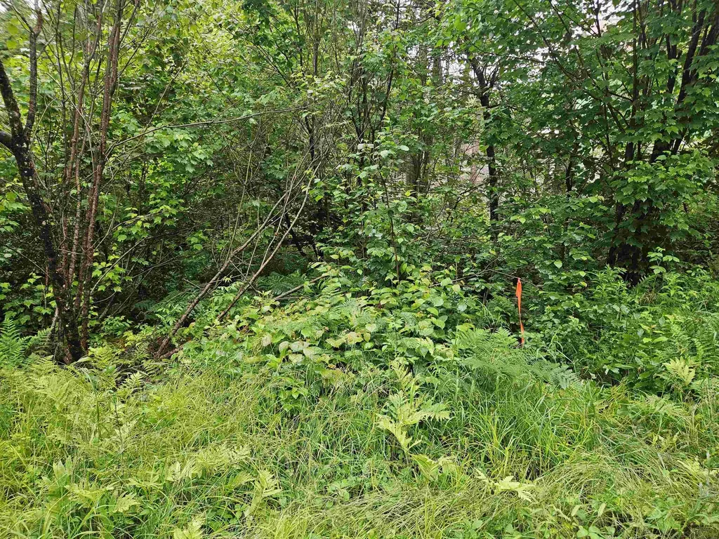 Lot 15 Hadley Road Sugar Hill NH 03586