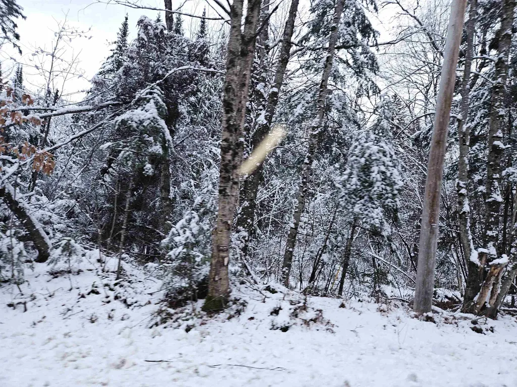 Lot 15 Hadley Road Sugar Hill NH 03586