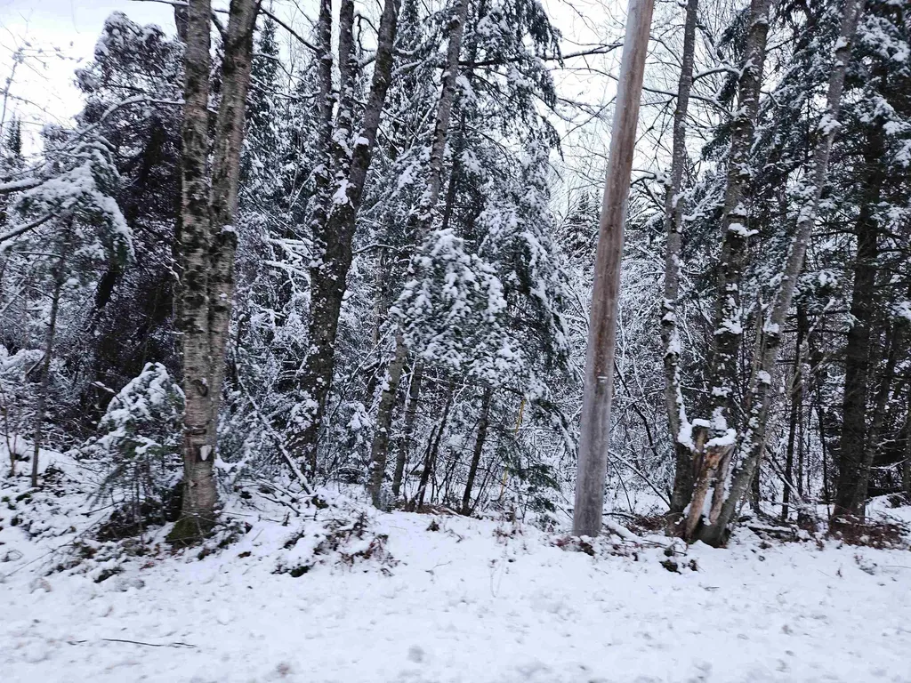 Lot 15 Hadley Road Sugar Hill NH 03586