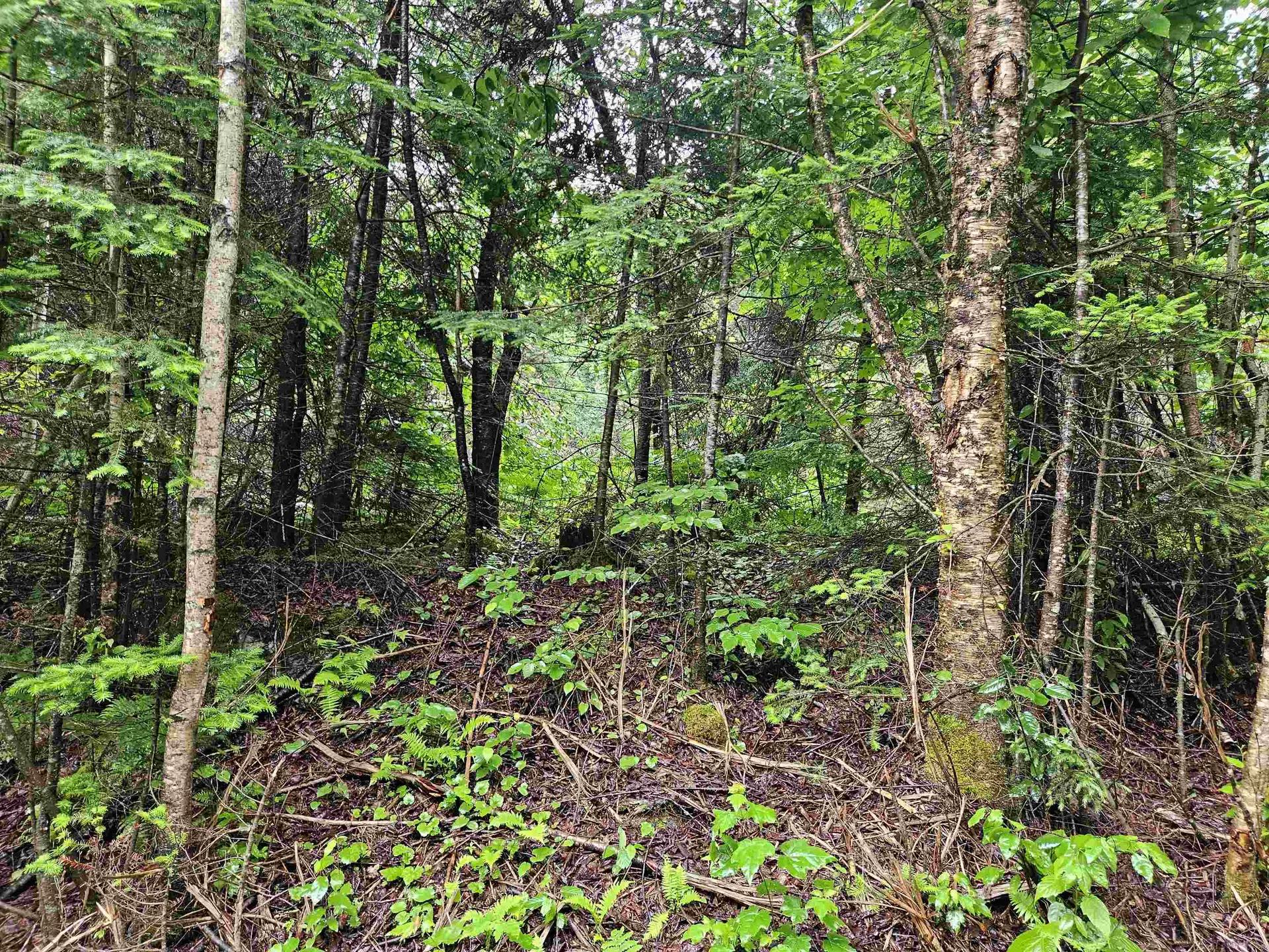 Lot 15 Hadley Road Sugar Hill NH 03586